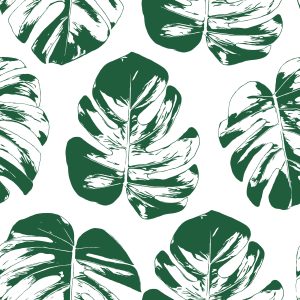 Papier Peint Feuilles Vert-Blanc – Image 1