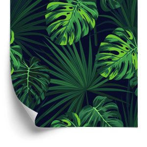 Papier Peint Feuilles De Monstera Tropicales Sur Fond Sombre – Image 2
