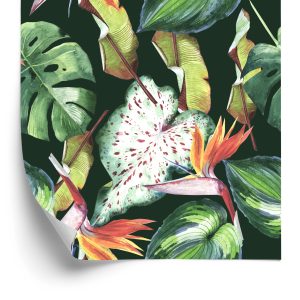 Papier Peint Fleurs Paradisiaques Et Feuilles Tropicales – Image 2