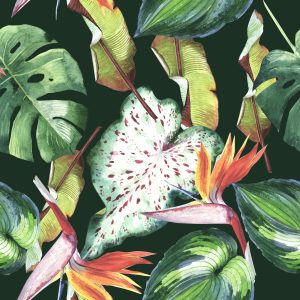 Papier Peint Fleurs Paradisiaques Et Feuilles Tropicales – Image 1