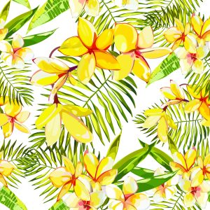 Papier Peint Fleurs De Plumeria Avec Des Feuilles De Palmier – Image 1