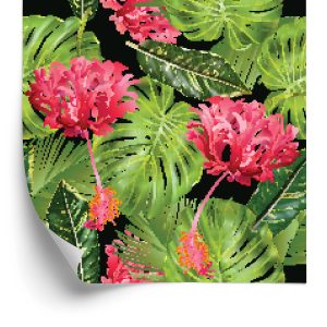 Papier Peint Belle – Image 2