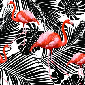 Papier Peint Flamants Roses Et Feuilles Exotiques Noires – Image 1