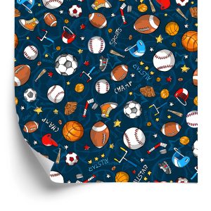 Papier Peint Balles Colorées Et Équipements Sportifs – Image 2