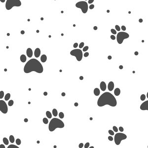 Papier Peint Pattes De Chien Gris Sur Fond Blanc – Image 1