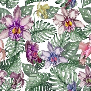 Papier Peint Fleurs D'orchidées Colorées Et Feuilles De Monstera – Image 1
