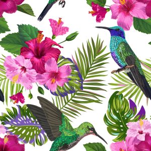 Papier Peint Tropical - Feuilles Et Fleurs Colorées De Colibri – Image 1