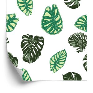 Papier Peint Feuilles De Monstera Et Alocasia – Image 2