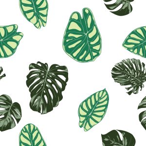 Papier Peint Feuilles De Monstera Et Alocasia – Image 1