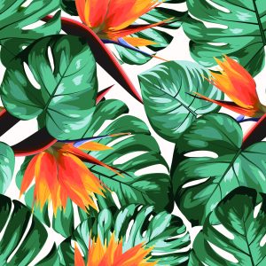 Papier Peint Feuilles Et Fleurs Tropicales – Image 1