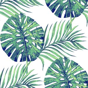 Papier Peint Feuilles De Plantes Exotiques / 241985020 – Image 1