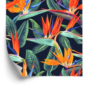 Papier Peint Coloré – Image 2