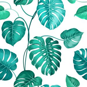 Papier Peint Feuilles De Monstera Natura – Image 1