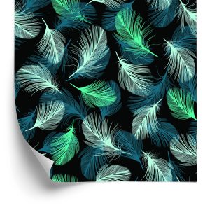 Papier Peint Plumes Turquoise Sur Fond Noir – Image 2