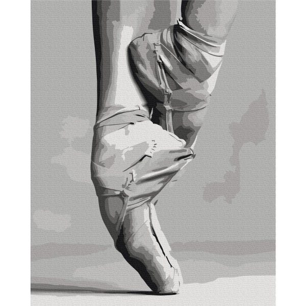 Peinture par numéros - Ballet Shoes