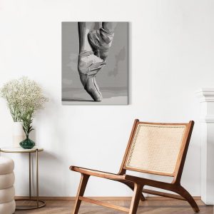 Peinture par numéros - Ballet Shoes