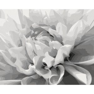 Peinture par numéros - Black & White Flower