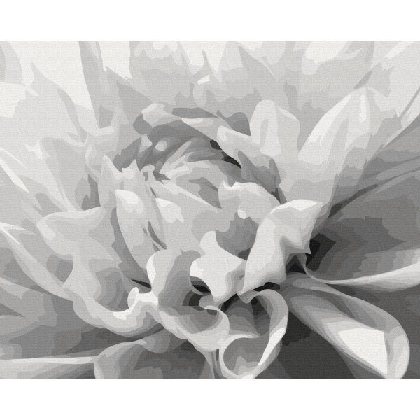 Peinture par numéros - Black & White Flower