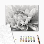 Peinture par numéros - Black & White Flower