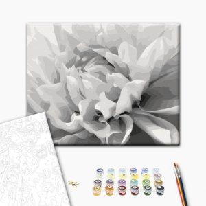 Peinture par numéros - Black & White Flower