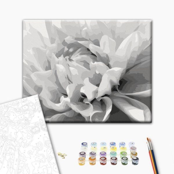 Peinture par numéros - Black & White Flower