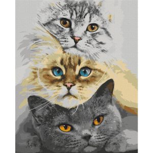 Peinture par numéros - Cat's Trio