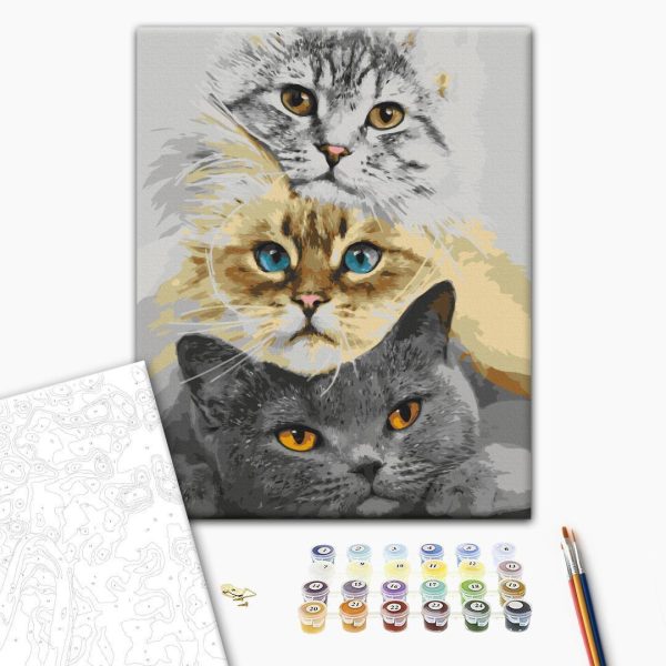Peinture par numéros - Cat's Trio