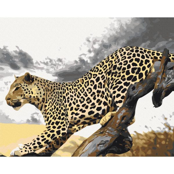 Peinture par numéros - Cheetah
