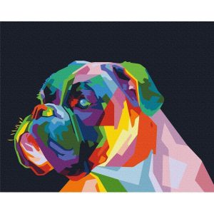 Peinture par numéros - Colourful Boxer