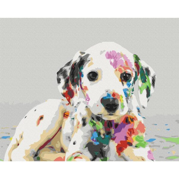 Peinture par numéros - Colourful Puppy