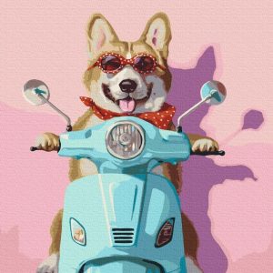 Peinture par numéros - Dog on a scooter