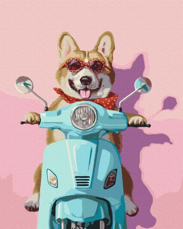 Peinture par numéros - Dog on a scooter