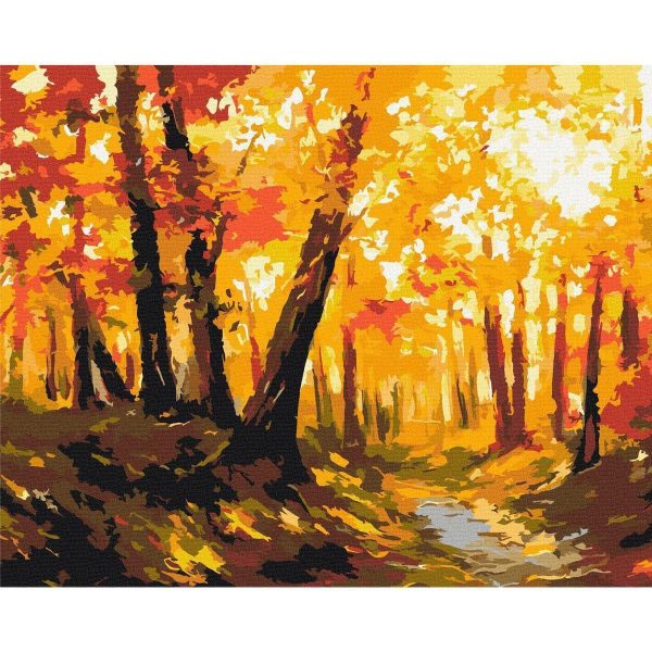 Peinture par numéros - Forest Track