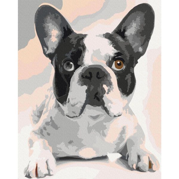 Peinture par numéros - French Bulldog