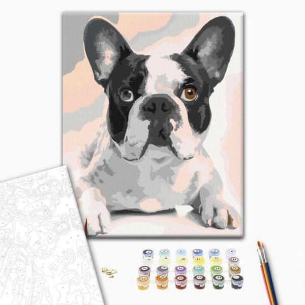 Peinture par numéros - French Bulldog