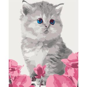 Peinture par numéros - Kitty Cat