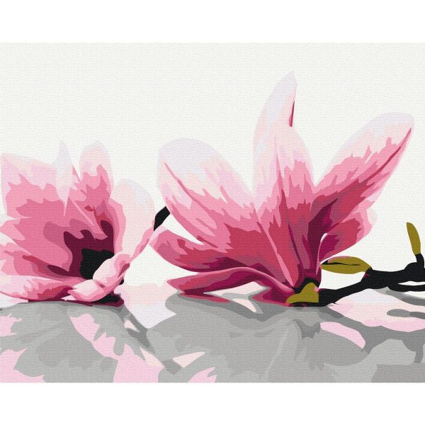 Peinture par numéros - Magnolia (White Background)