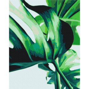Peinture par numéros - Monstera Adansonii