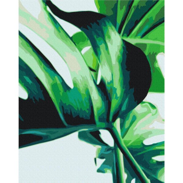Peinture par numéros - Monstera Adansonii