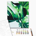Peinture par numéros - Monstera Adansonii
