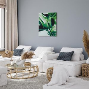 Peinture par numéros - Monstera Adansonii