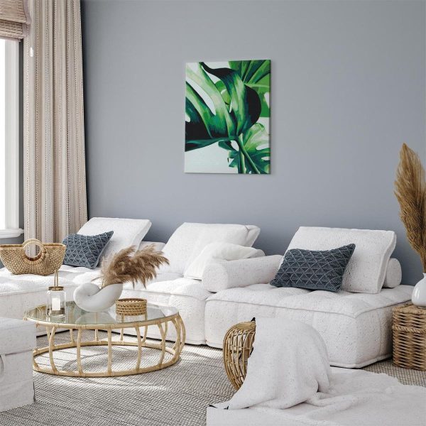 Peinture par numéros - Monstera Adansonii