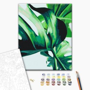 Peinture par numéros - Monstera Adansonii