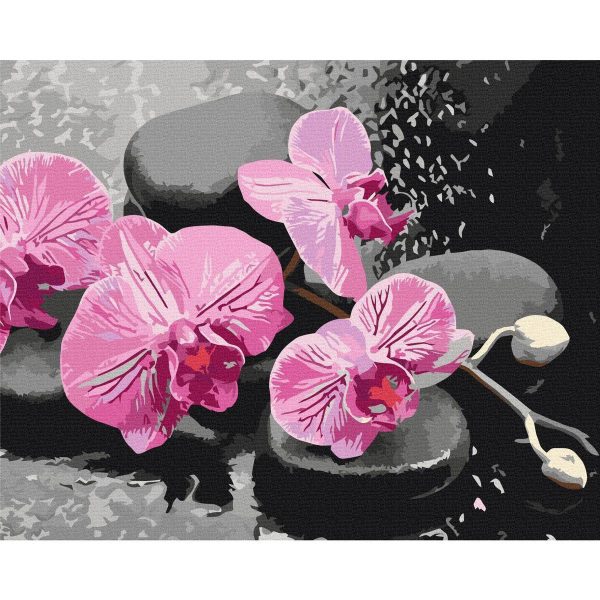 Peinture par numéros - Orchid With Zen Stones (Black Background)