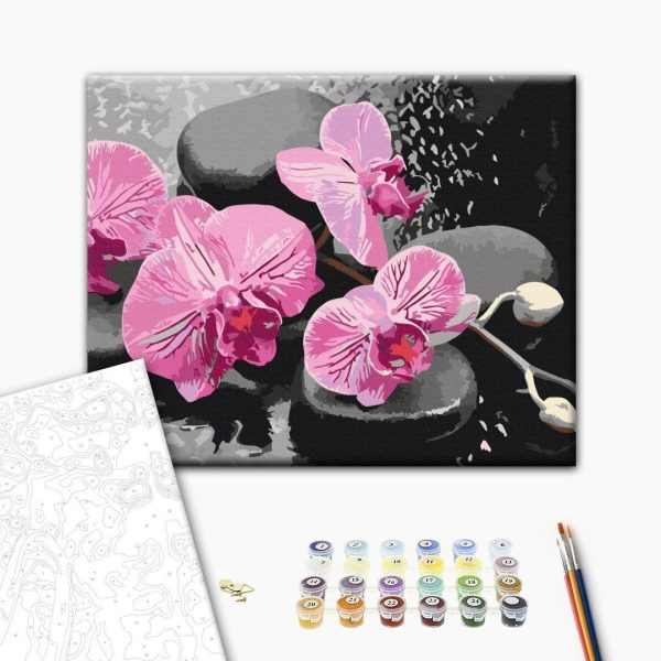 Peinture par numéros - Orchid With Zen Stones (Black Background)