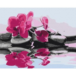 Peinture par numéros - Orchid With Zen Stones (Reflection In The Water)