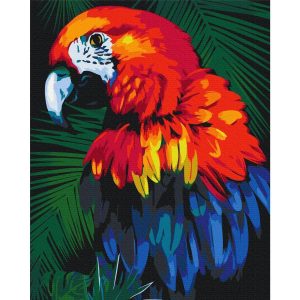 Peinture par numéros - Parrot