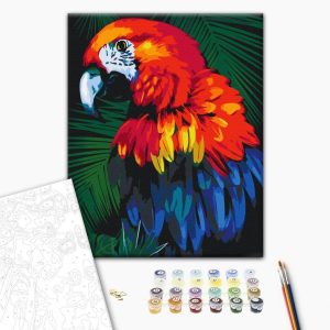 Peinture par numéros - Parrot