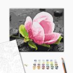 Peinture par numéros - Pink Flower and Stones