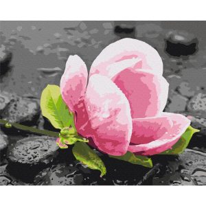 Peinture par numéros - Pink Flower and Stones